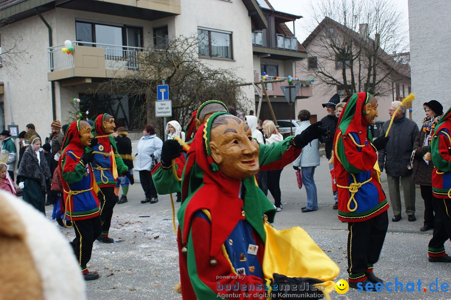 Narrenumzug: Orsingen am Bodensee, 30.01.2011