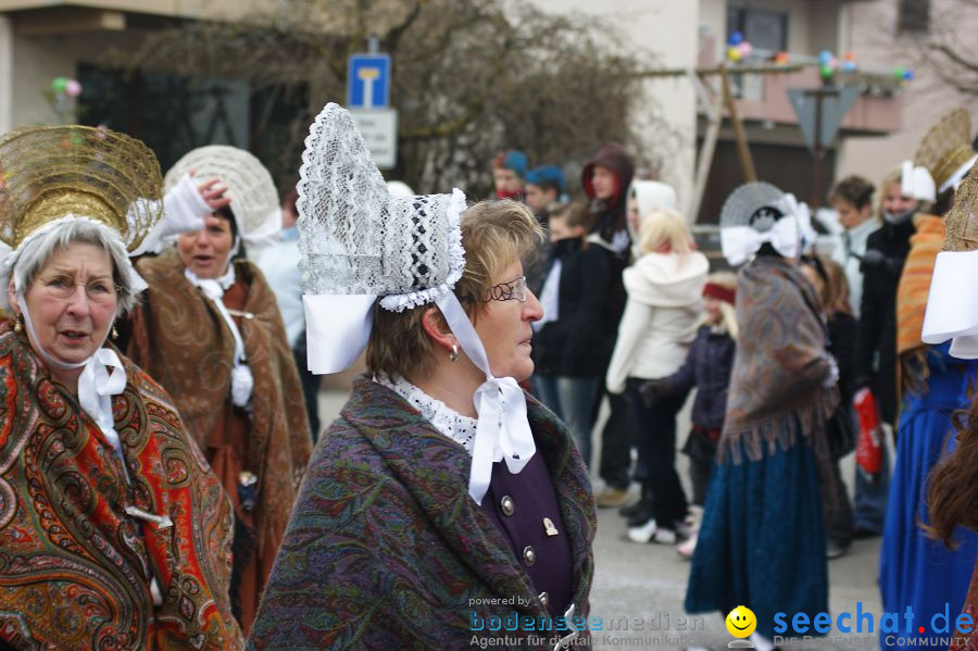 Narrenumzug: Orsingen am Bodensee, 30.01.2011