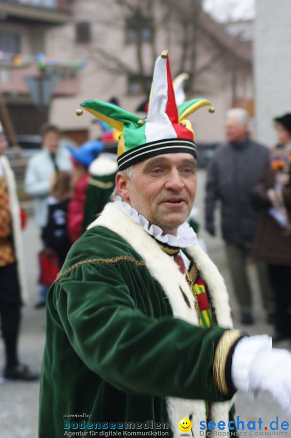 Narrenumzug: Orsingen am Bodensee, 30.01.2011