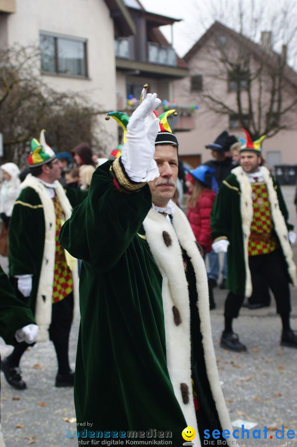 Narrenumzug: Orsingen am Bodensee, 30.01.2011