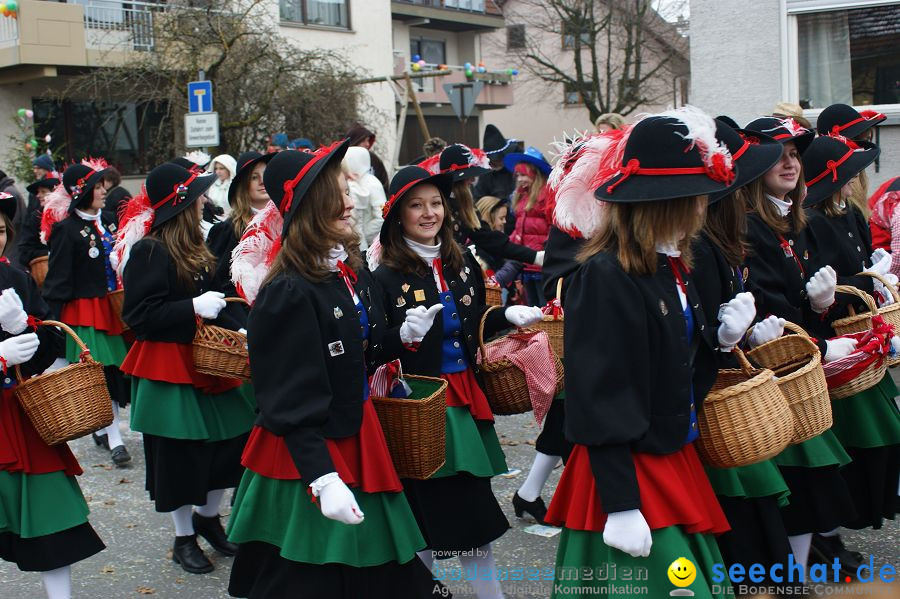 Narrenumzug: Orsingen am Bodensee, 30.01.2011