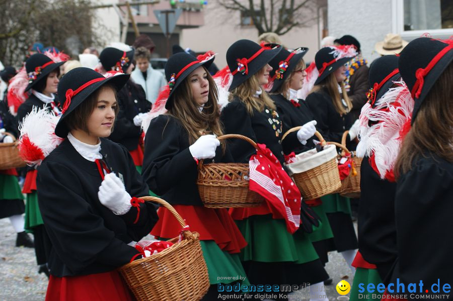 Narrenumzug: Orsingen am Bodensee, 30.01.2011