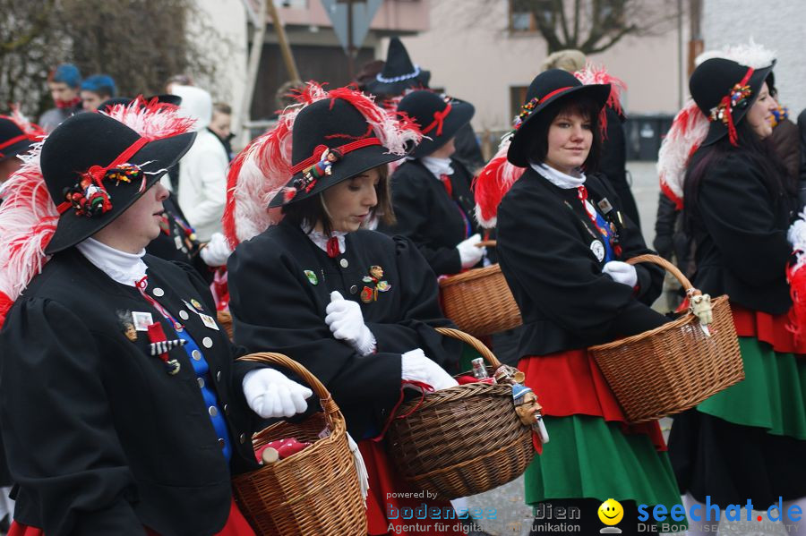 Narrenumzug: Orsingen am Bodensee, 30.01.2011