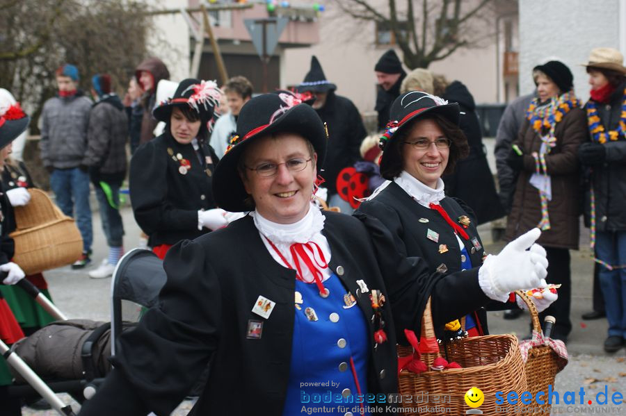 Narrenumzug: Orsingen am Bodensee, 30.01.2011