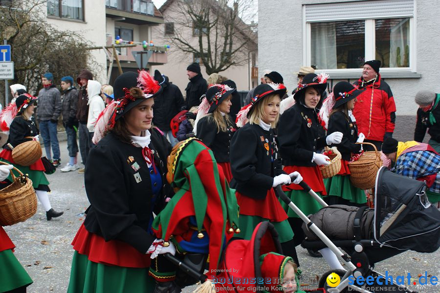 Narrenumzug: Orsingen am Bodensee, 30.01.2011