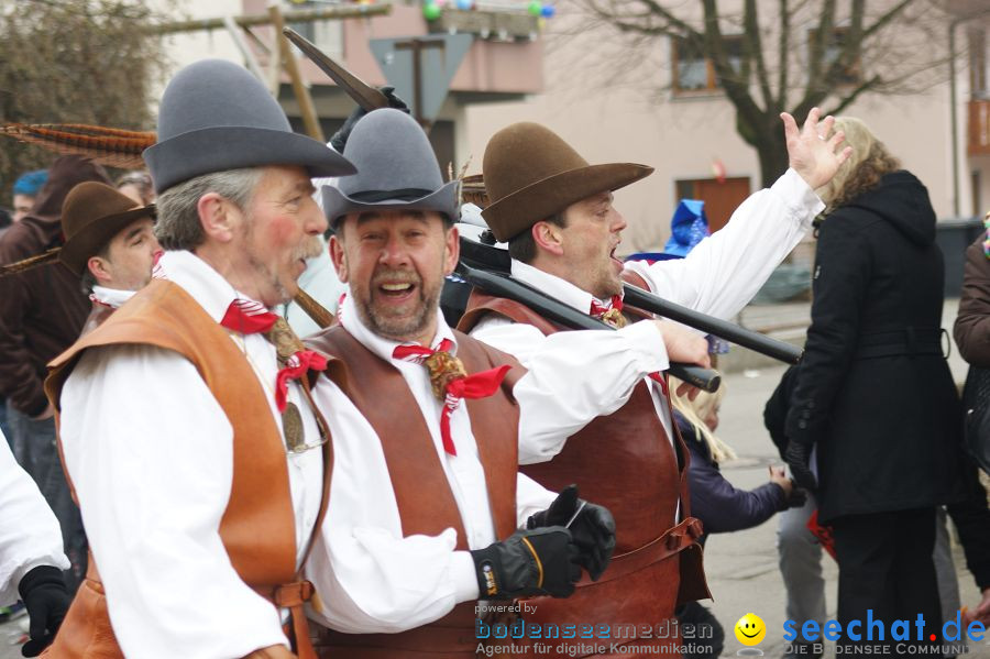 Narrenumzug: Orsingen am Bodensee, 30.01.2011