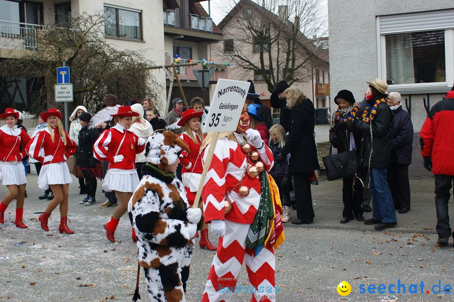 Narrenumzug: Orsingen am Bodensee, 30.01.2011