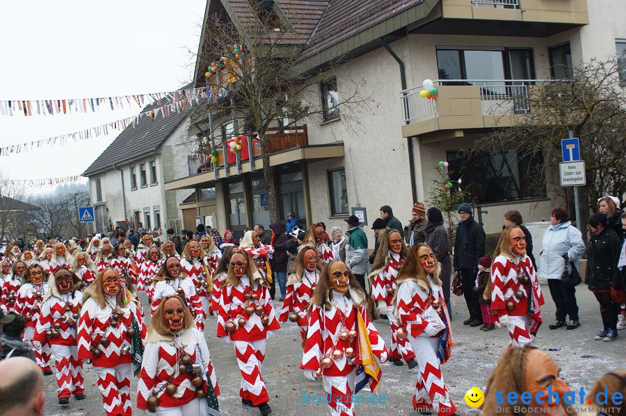 Narrenumzug: Orsingen am Bodensee, 30.01.2011