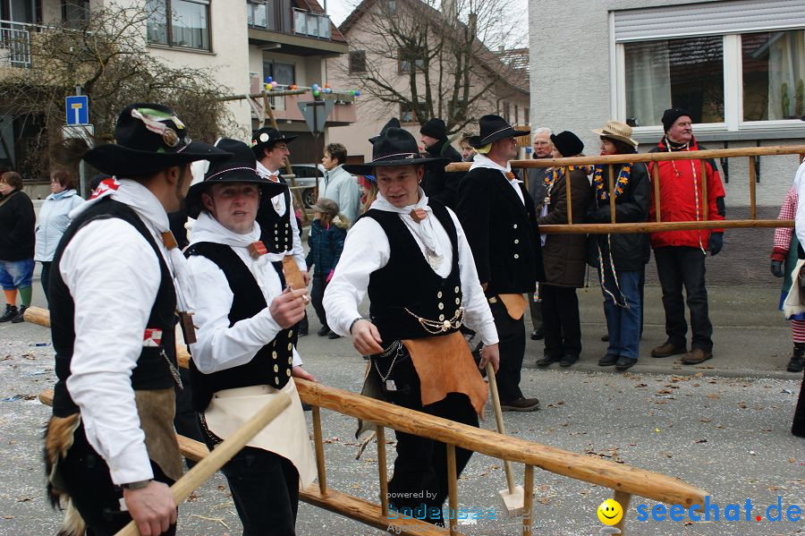 Narrenumzug: Orsingen am Bodensee, 30.01.2011