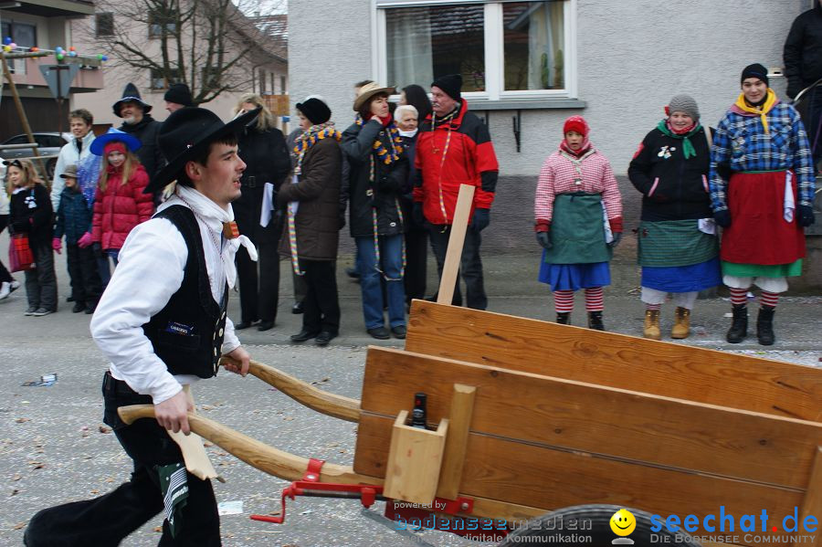 Narrenumzug: Orsingen am Bodensee, 30.01.2011