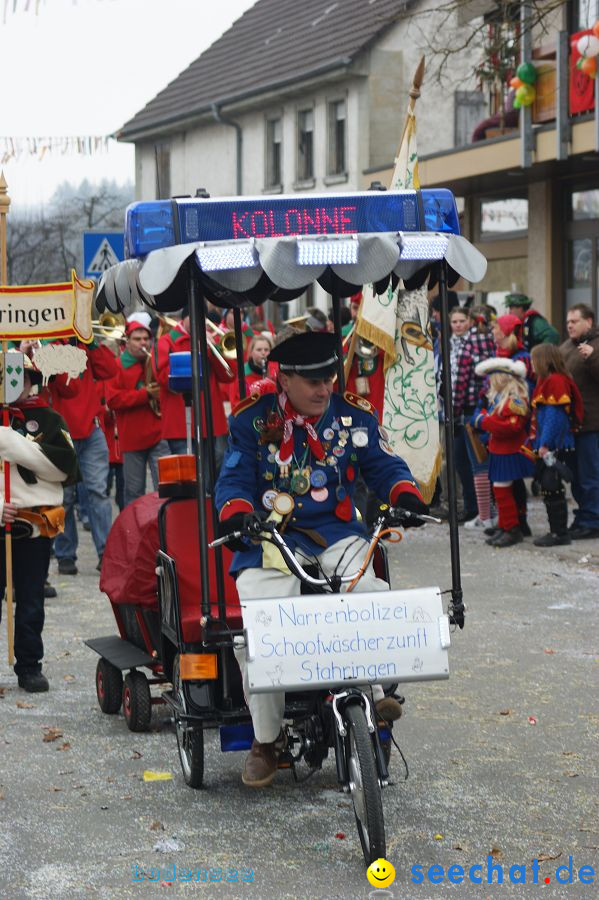 Narrenumzug: Orsingen am Bodensee, 30.01.2011