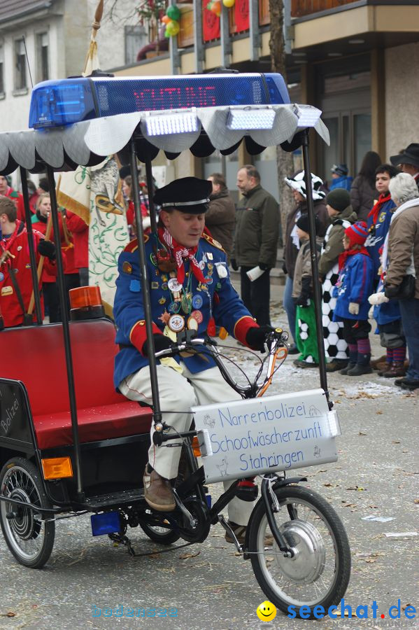 Narrenumzug: Orsingen am Bodensee, 30.01.2011