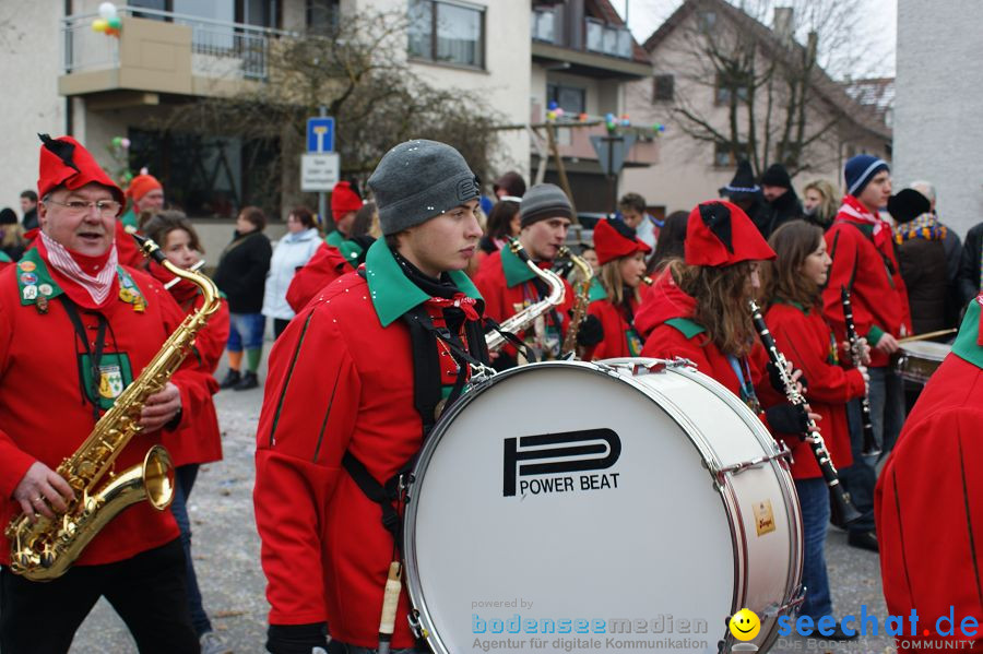 Narrenumzug: Orsingen am Bodensee, 30.01.2011