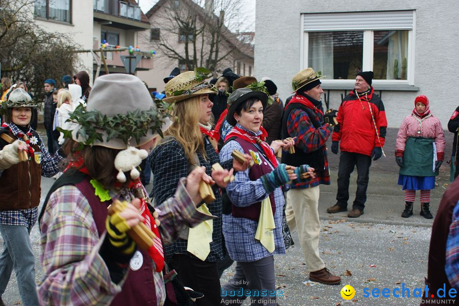 Narrenumzug: Orsingen am Bodensee, 30.01.2011