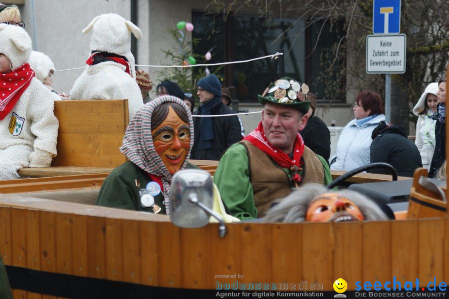 Narrenumzug: Orsingen am Bodensee, 30.01.2011