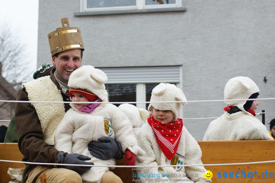 Narrenumzug: Orsingen am Bodensee, 30.01.2011