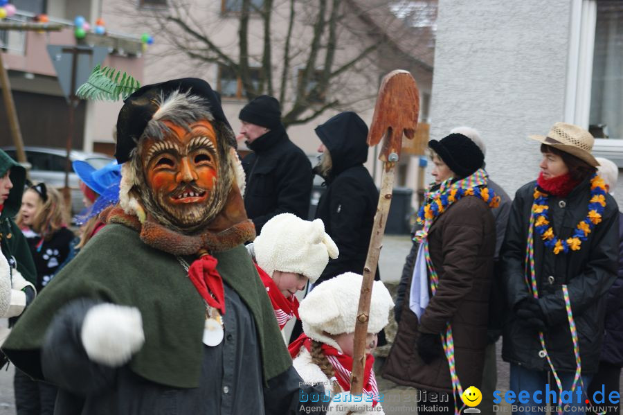 Narrenumzug: Orsingen am Bodensee, 30.01.2011