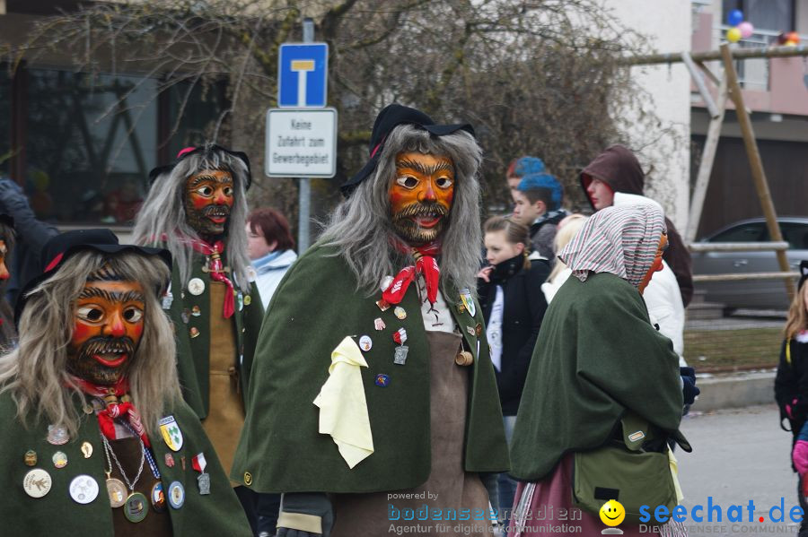 Narrenumzug: Orsingen am Bodensee, 30.01.2011