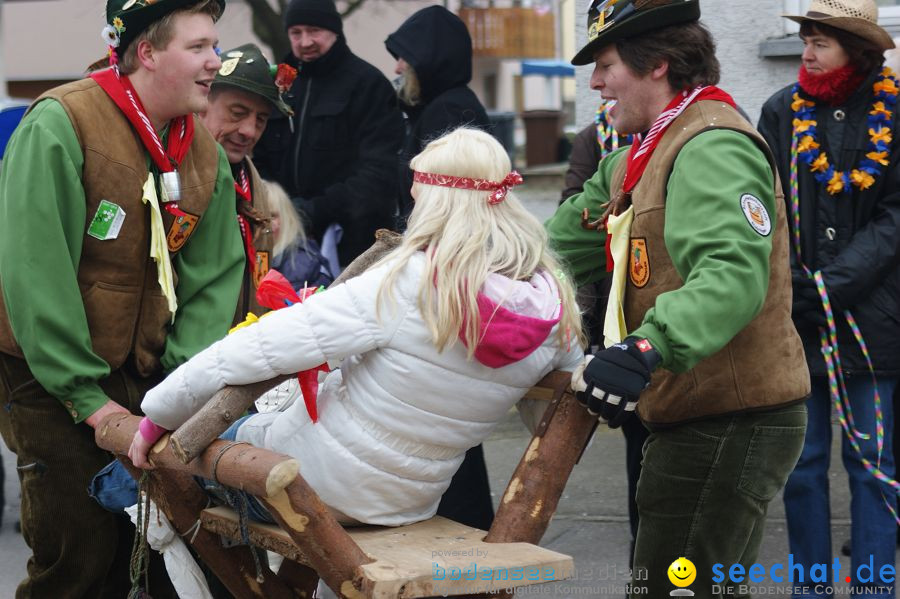 Narrenumzug: Orsingen am Bodensee, 30.01.2011