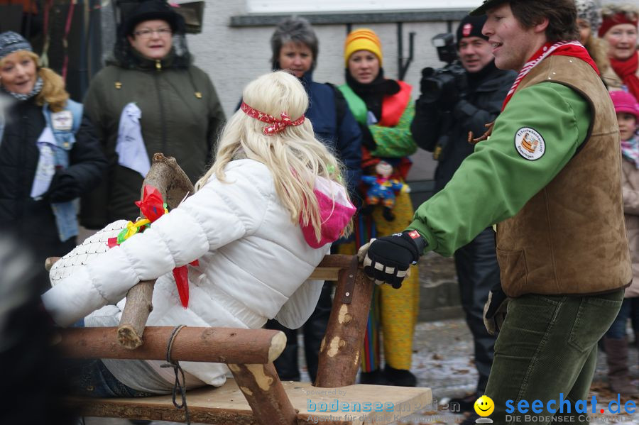 Narrenumzug: Orsingen am Bodensee, 30.01.2011