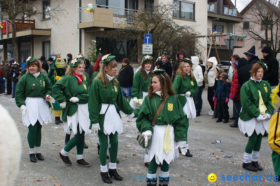 Narrenumzug: Orsingen am Bodensee, 30.01.2011