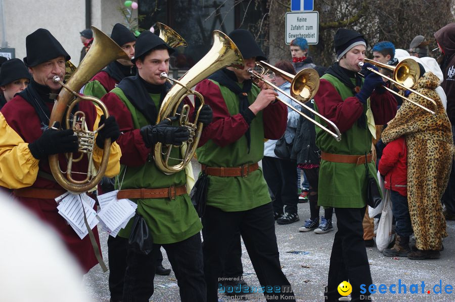 Narrenumzug: Orsingen am Bodensee, 30.01.2011