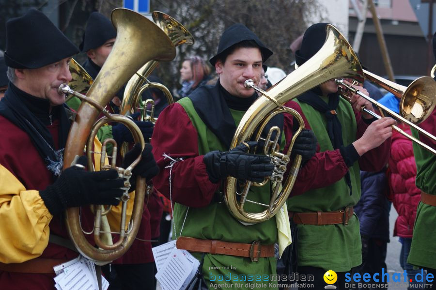 Narrenumzug: Orsingen am Bodensee, 30.01.2011