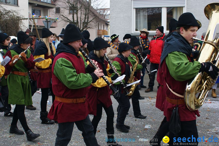 Narrenumzug: Orsingen am Bodensee, 30.01.2011