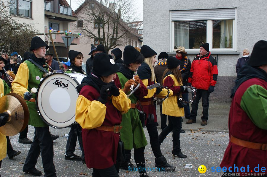 Narrenumzug: Orsingen am Bodensee, 30.01.2011