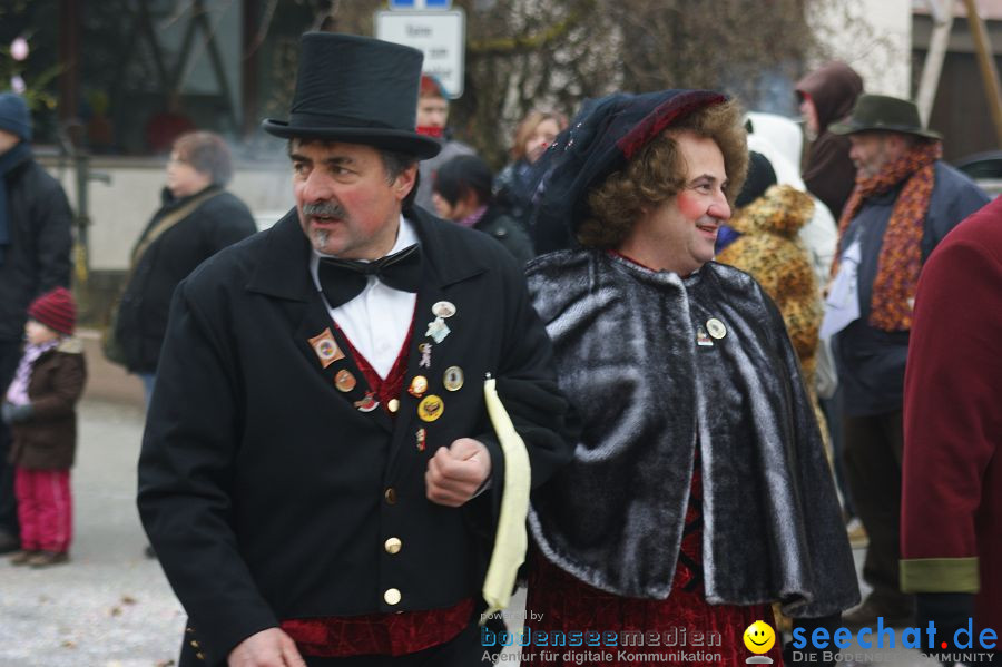 Narrenumzug: Orsingen am Bodensee, 30.01.2011