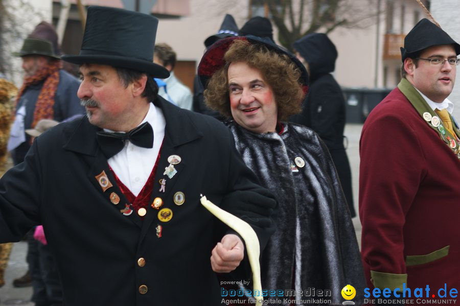 Narrenumzug: Orsingen am Bodensee, 30.01.2011