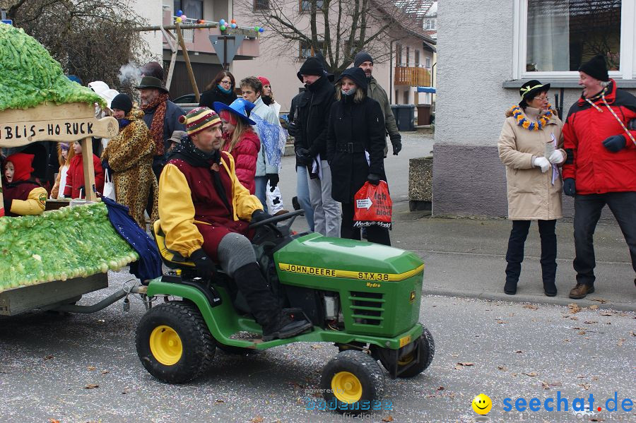 Narrenumzug: Orsingen am Bodensee, 30.01.2011