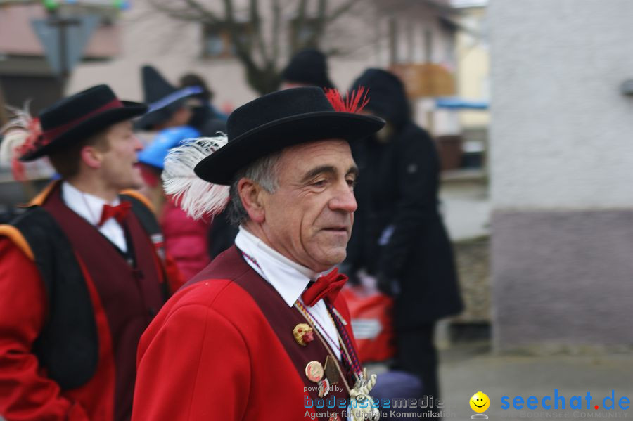 Narrenumzug: Orsingen am Bodensee, 30.01.2011