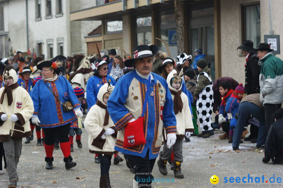 Narrenumzug: Orsingen am Bodensee, 30.01.2011