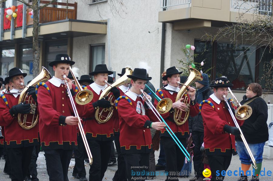 Narrenumzug: Orsingen am Bodensee, 30.01.2011