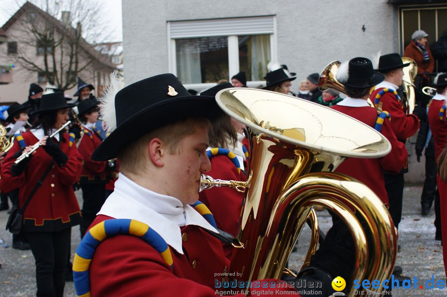 Narrenumzug: Orsingen am Bodensee, 30.01.2011