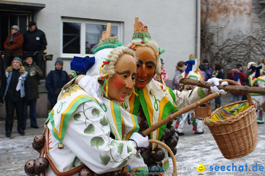 Narrenumzug: Orsingen am Bodensee, 30.01.2011