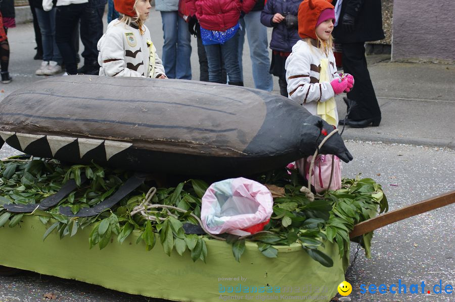 Narrenumzug: Orsingen am Bodensee, 30.01.2011