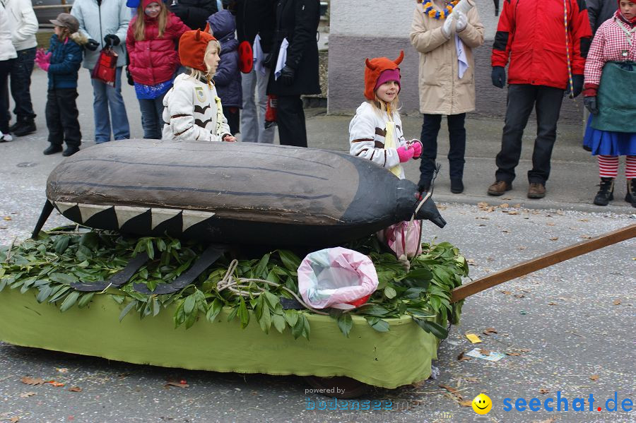 Narrenumzug: Orsingen am Bodensee, 30.01.2011