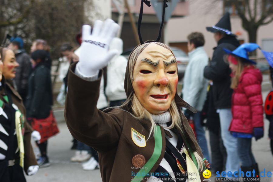 Narrenumzug: Orsingen am Bodensee, 30.01.2011