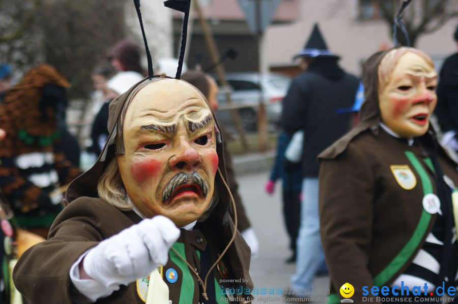 Narrenumzug: Orsingen am Bodensee, 30.01.2011