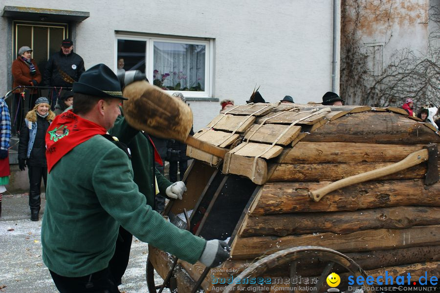 Narrenumzug: Orsingen am Bodensee, 30.01.2011