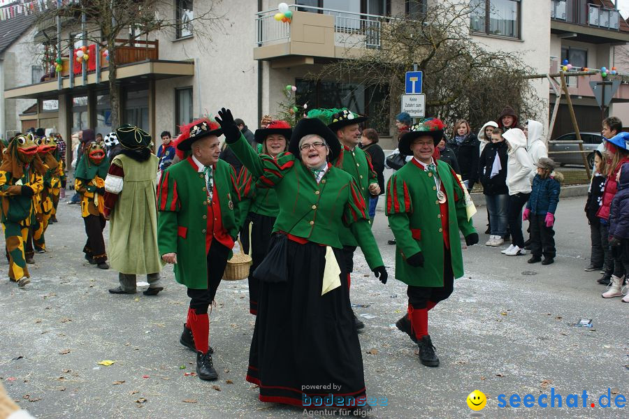 Narrenumzug: Orsingen am Bodensee, 30.01.2011