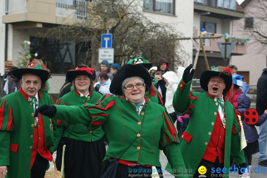 Narrenumzug: Orsingen am Bodensee, 30.01.2011