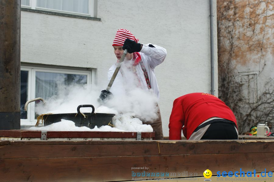 Narrenumzug: Orsingen am Bodensee, 30.01.2011