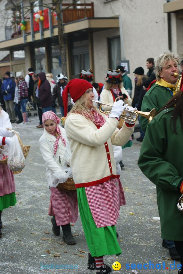 Narrenumzug: Orsingen am Bodensee, 30.01.2011