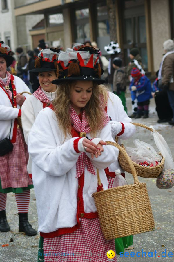 Narrenumzug: Orsingen am Bodensee, 30.01.2011