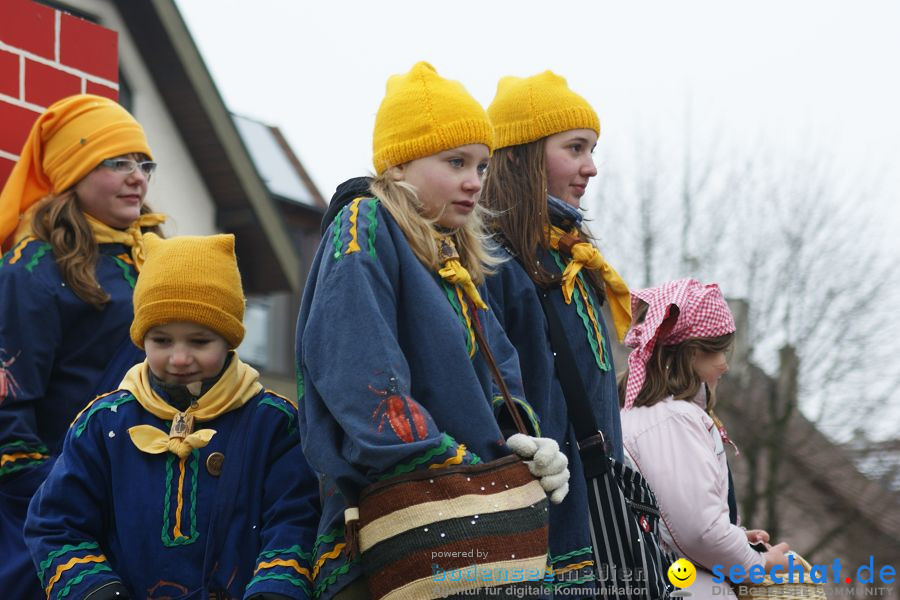 Narrenumzug: Orsingen am Bodensee, 30.01.2011