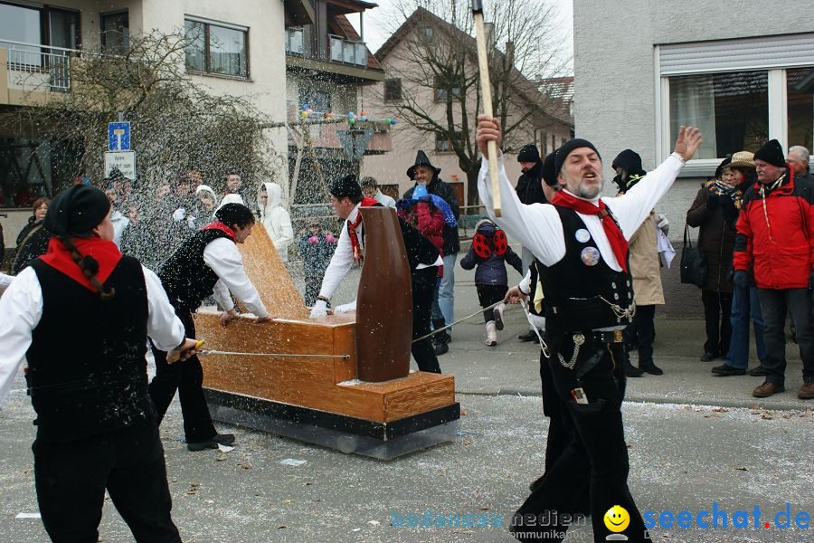 Narrenumzug: Orsingen am Bodensee, 30.01.2011