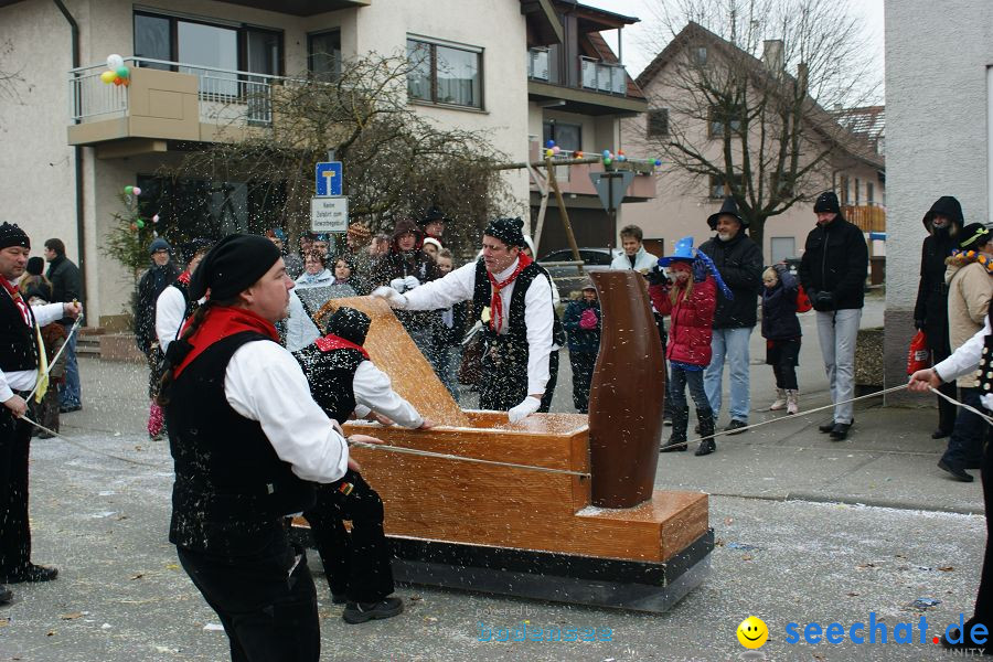 Narrenumzug: Orsingen am Bodensee, 30.01.2011